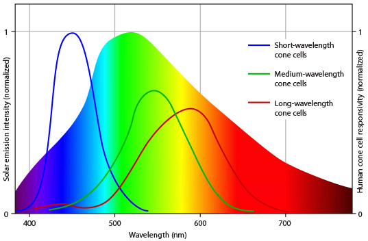 Human eyes' response curve.