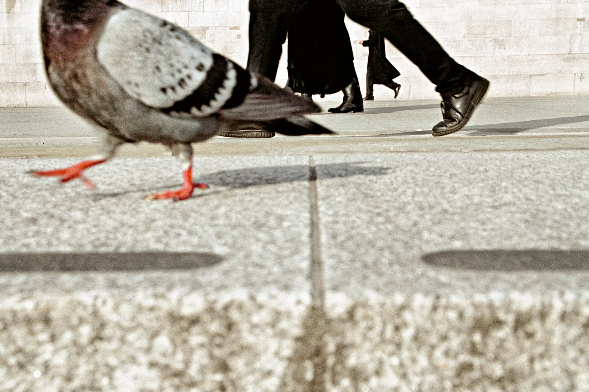 Leica Akademie London Street Photography 工作坊现场，Matt Stuart 指导学员使用 Leica 相机在街头拍摄