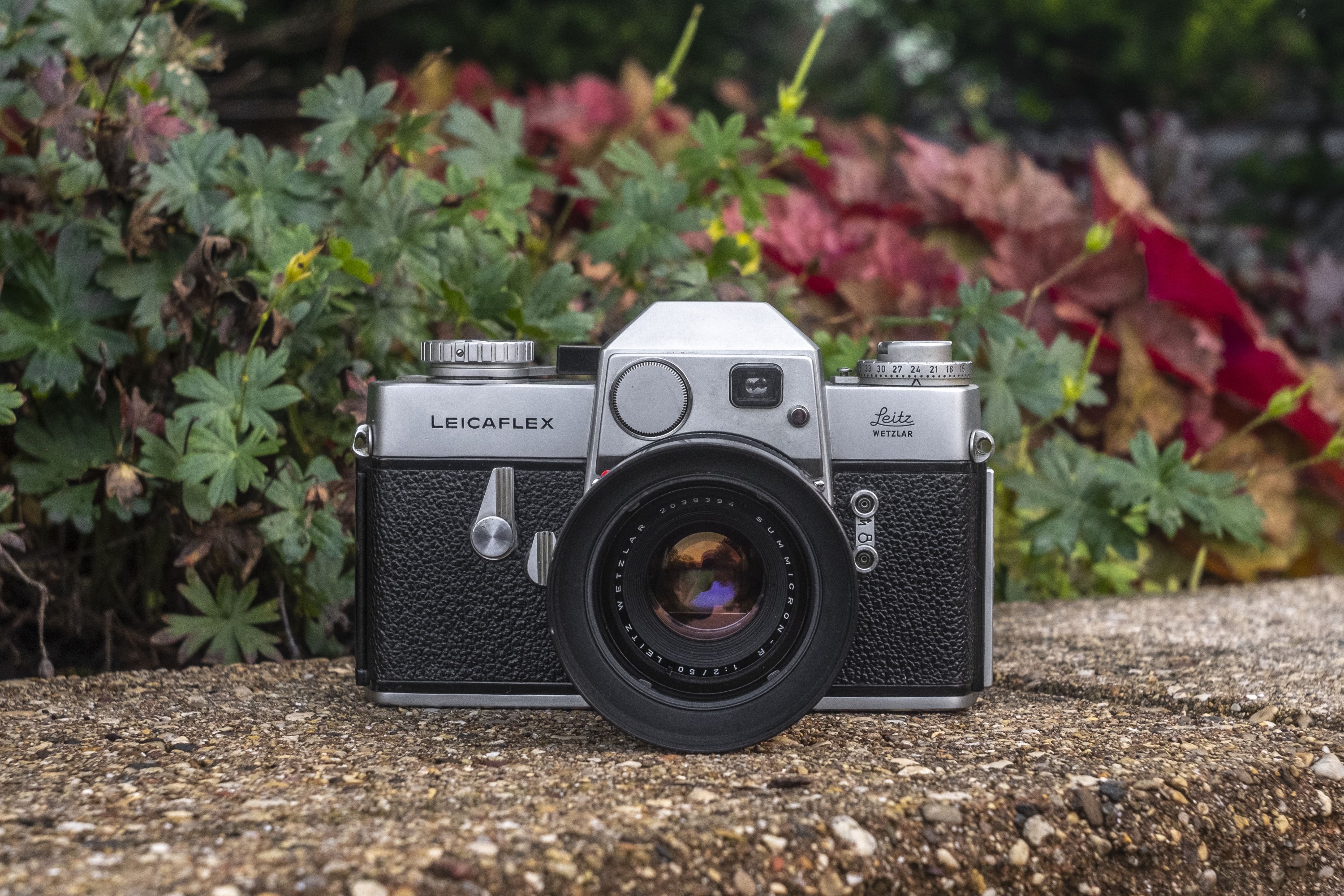 Leicaflex Standard 正面，棱镜上的外置 CdS 测光窗口清晰可见