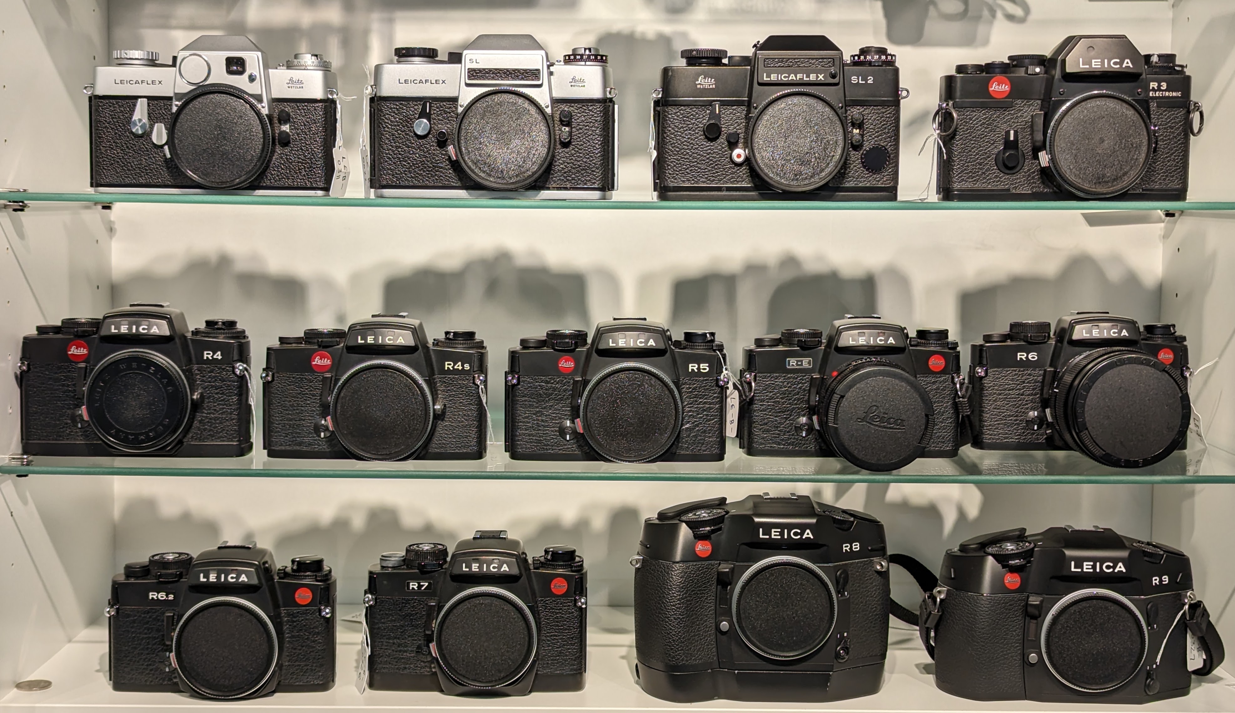 Leica R 系列全家族合影，从 R3 到 R9 排列展示